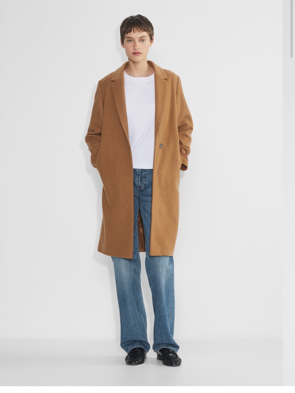 Aritzia Babaton stedman coat